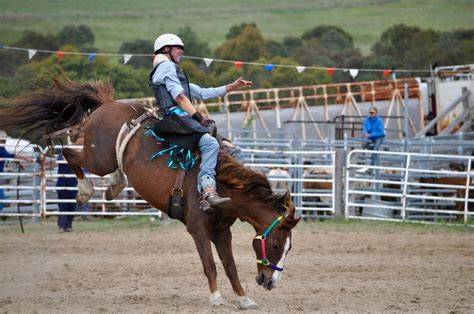 Free Images Man Horse Action Dust Ride Outdoors Competition