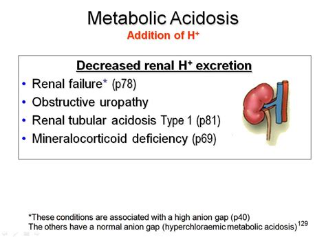 Medicine Newbie Sgd Compensation In Metabolic Acidosis