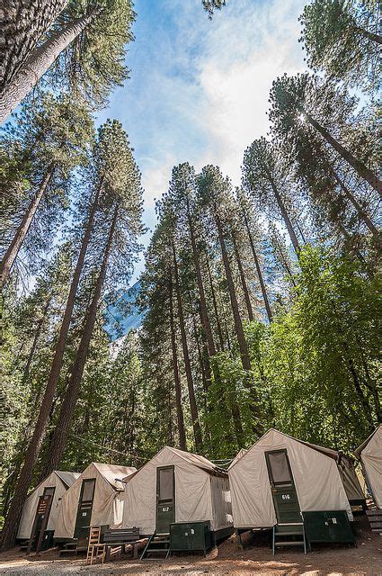 Your curry village cabin comes with one locker measuring: Curry Village | National parks, California camping ...