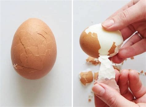 How To Cook The Perfect Eggs Every Time The Whoot