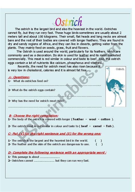 English Worksheets Ostrich