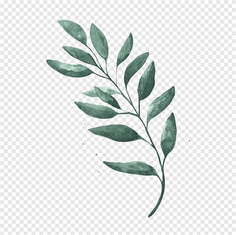 Watercolor Leaves Green Leaf Png Pngegg