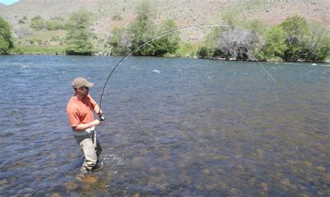 Deschutes River Oregon Fly Fishing Camping Boating Alltrips