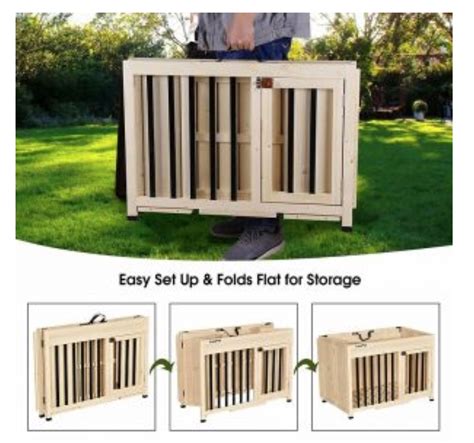 The 7 Best Collapsible Dog Crates For 2021 Dogs Experts