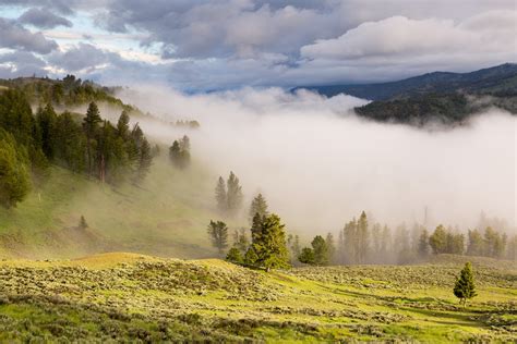 Fog Free Stock Photo Public Domain Pictures