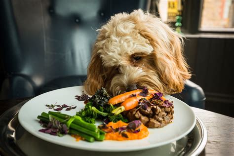 A La Bark Chefs Have Created The Ultimate Gourmet Dinner For Dogs