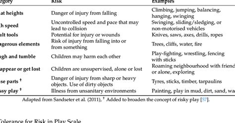 Definitions Of Risky Play Used In The State Of Play Survey Download
