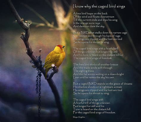 I Know Why The Caged Bird Sings By Maya Angelou Photograph By Maria