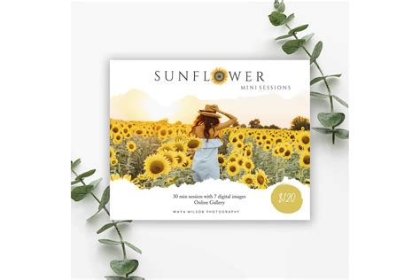 Sunflower Photography Session Flyer Photoshop Templates Creative Market