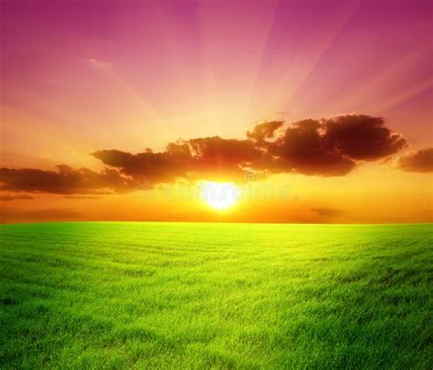 Green Field And Beautiful Sunset Stock Photo Image Of Natural