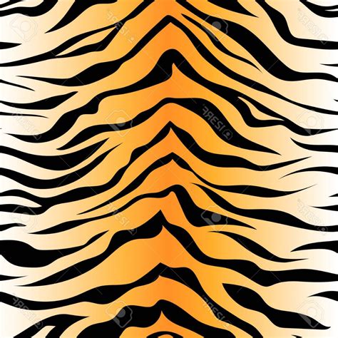 Tiger Stripe Pattern Vector At Vectorified Com Collection Of Tiger