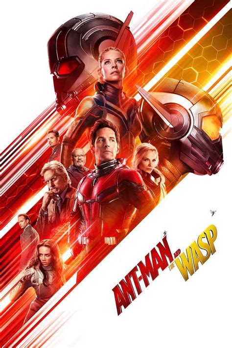 Ant Man And The Wasp 2018 Poster Wallpaper Hd Movies 4k Wallpapers