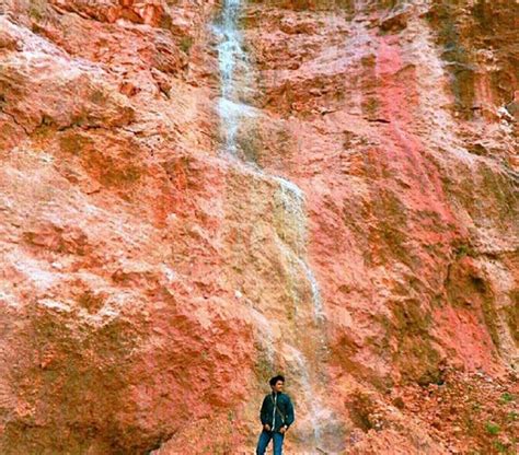 Pegunungan kapur tersebar hampir di seluruh wilayah indonesia dari sumatra sampai papua. Tebing Kapur di Bogor, yang Terbaru untuk Tujuan Wisatamu