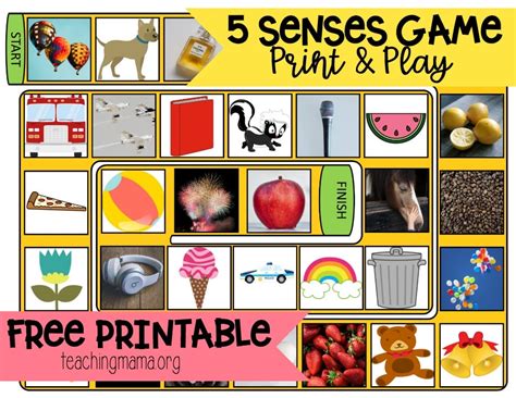 The 5 Senses Printable Games