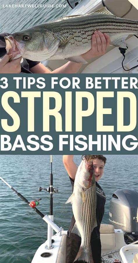 Tips For Striper Fishing On Lake Hartwell