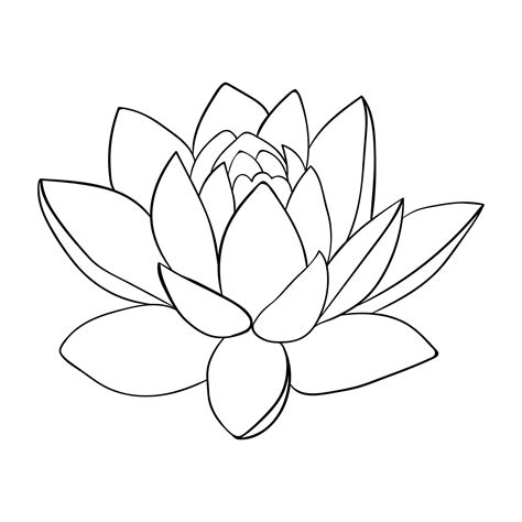 Lotus Flower Outline Drawing