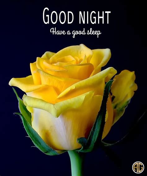 Pin By Deborah Collins On Roses Good Night Flowers Good Night Good Night Massage