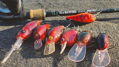 Crankbait Tricks For Spring Bass Fishing Everything You Need To Know