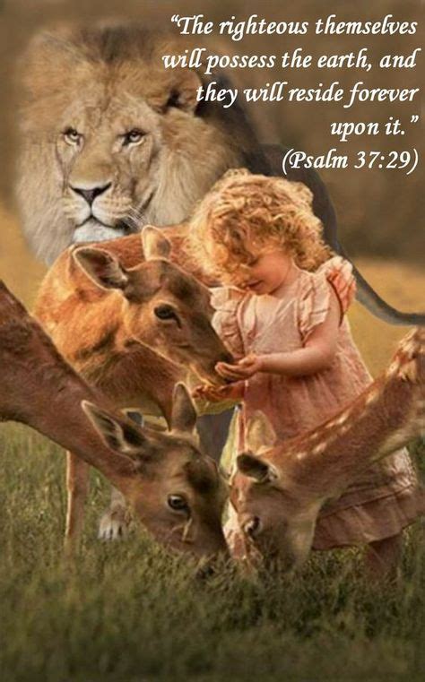 8 Bible Scriptures About Animals All Creatures Ideas In 2021 Bible