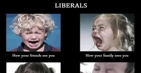Hilarious Meme Brilliantly Sums Up Todays Liberals