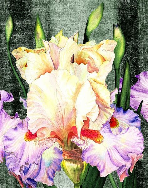 Ruffles Painting Ruffles Ruffles Iris Garden By Irina Sztukowski