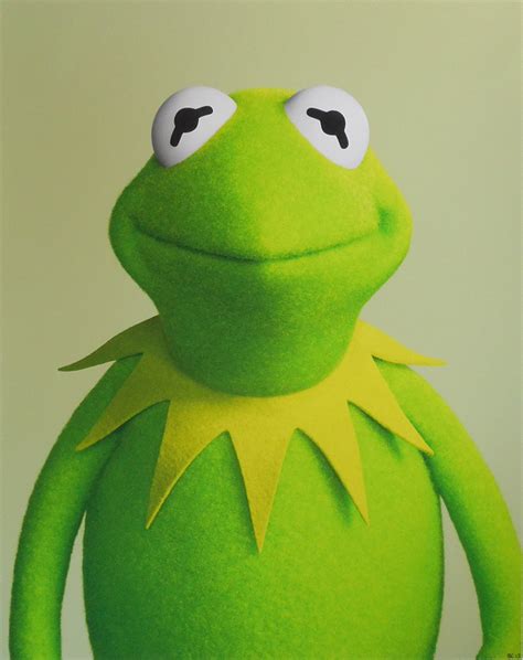 Kermit The Frog By Bartholomew Cooke
