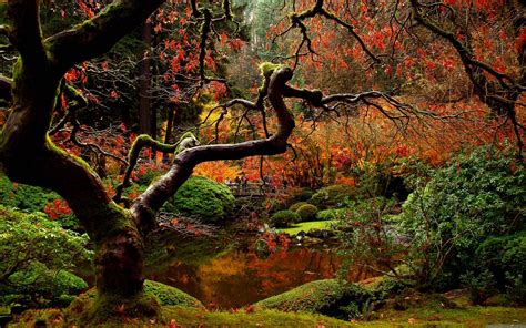 Optimized code created for mobile devices. Japanese Garden Desktop Wallpapers - Wallpaper Cave