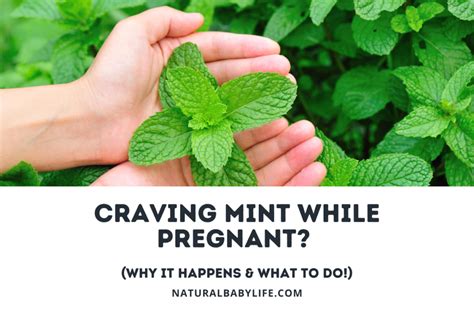 Is Smelling Rubbing Alcohol During Pregnancy Safe Plus What To Do If