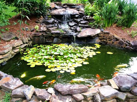 Suitable for pond margins up to 30cms. 32 Small Fish Pond Designs Look Perfect for Improving Tiny Garden Landscape - SHAIROOM.COM