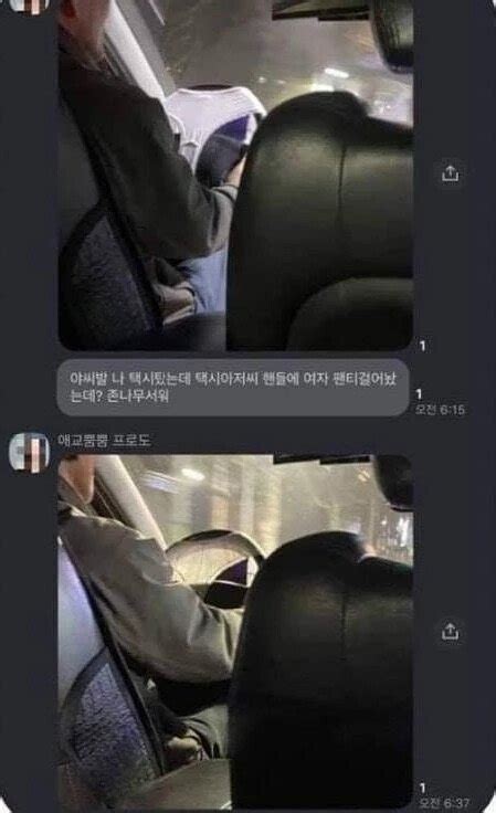 핸들에 팬티 걸어놓은 택시 아재 유머 움짤 이슈 에펨코리아