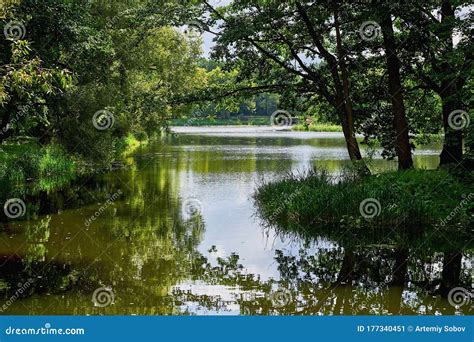 A Magnificent Small Lake Surrounded By Trees A Picturesque Lake In The