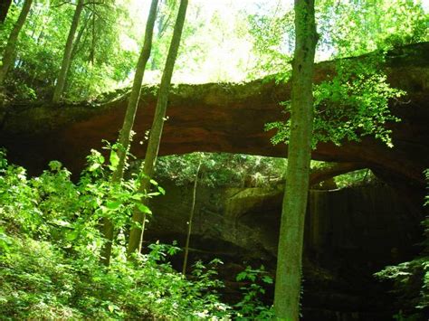 9 Best Hidden Outdoor Attractions In Alabama
