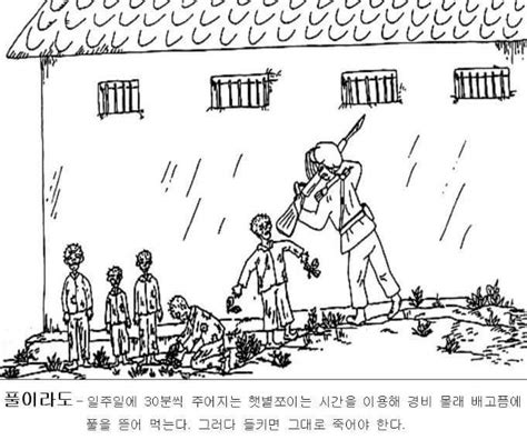 Drawings Detailing The Life Of A North Korean Death Camp Done By An Ex Prisoner Album On Imgur