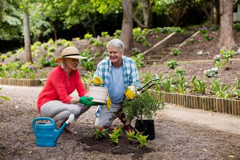 Health Benefits Of Gardening For Seniors Main Line Adult Day Center