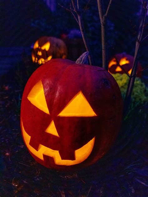 Halloween Pumpkins At Night Free Stock Photo Public Domain Pictures