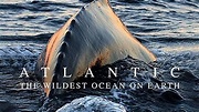 Atlantic: The Wildest Ocean on Earth (2015) - Plex