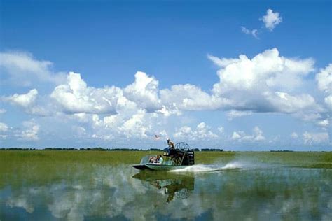 15 Best Everglades Airboat Tours The Crazy Tourist