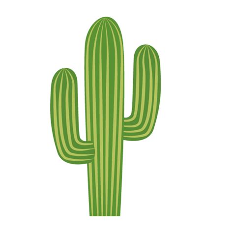 Download High Quality Cactus Clipart Minimalist Transparent Png Images