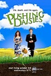 Pushing Daisies. Serie TV - FormulaTV