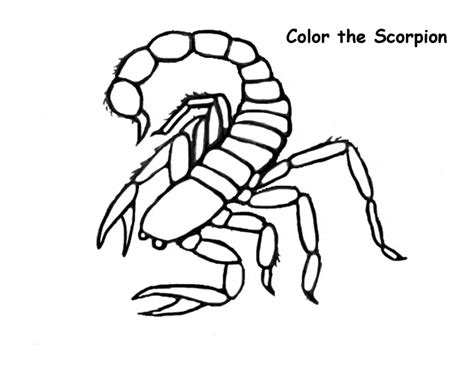 More 100 coloring pages from animal coloring pages category. Scorpio Coloring Pages at GetColorings.com | Free ...