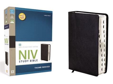 Niv Study Biblelarge Print Black Bonded Leather Indexed 9780310437581