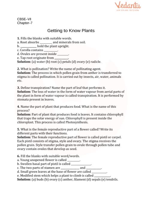 Getting To Know Plants Class 6 Worksheet