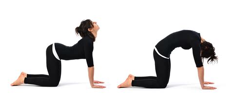 This video focusses on the cat and cow poses, these stretches improve flexibility in your spine and shoulders as well as. The 4 Yoga Poses You Should Do Every Morning /4 κινήσεις ...