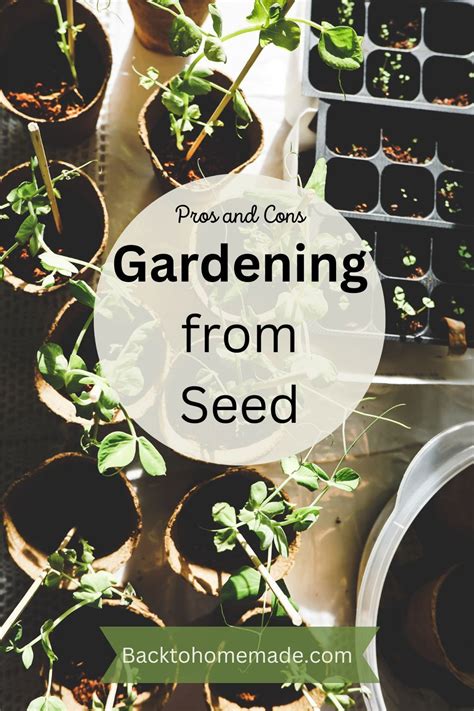 Some Pros And Cons Of Gardening From Seed Spring Is Here Lawn And