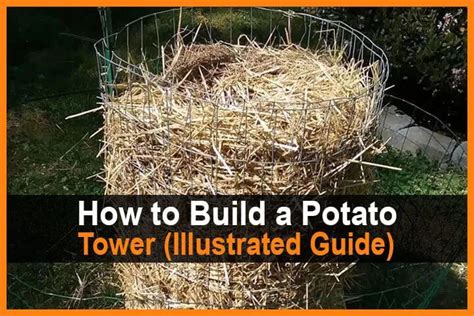 How To Build A Potato Tower Illustrated Guide For Beginners And Expert