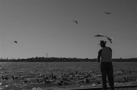 Man Feeding Birds Photograph By Enrique Morales Fine Art America