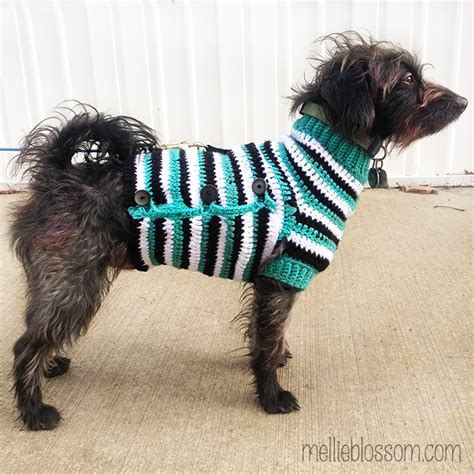Crochet Dog Sweater Mellie Blossom