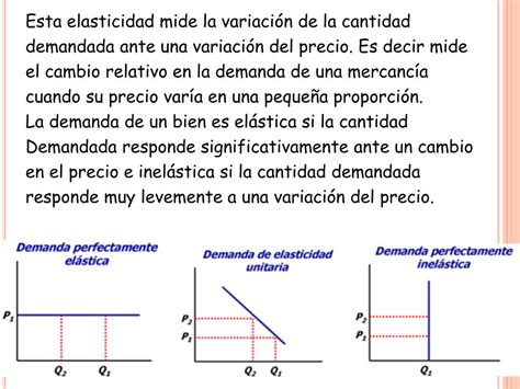 Ppt Elasticidades De La Oferta Y De La Demanda Powerpoint