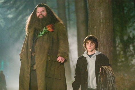 How Did They Make Hagrid Look So Big In Harry Potter