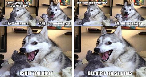 The Best Collection Of Husky Puns Funny Animal Jokes Funny Dog Memes
